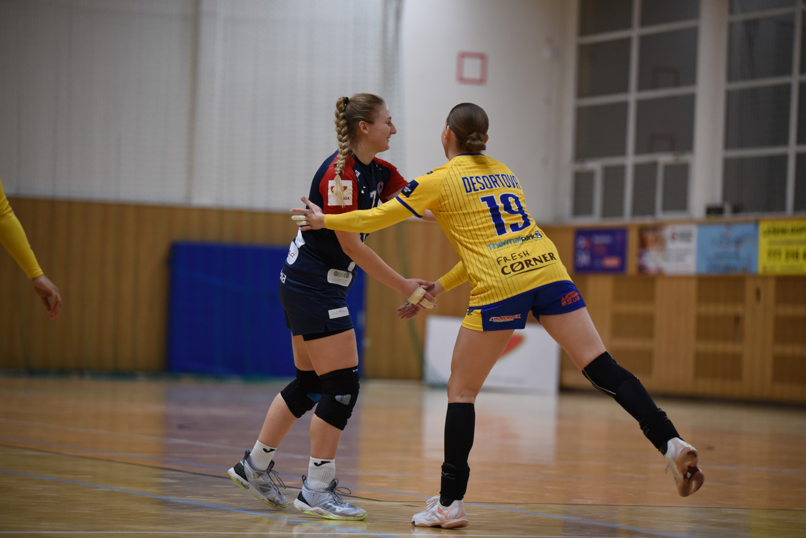 V SOBOTU PROTI JIŽ JISTÉMU VÍTĚZI MOL LIGY